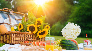 Best picnic places in Wiltshire