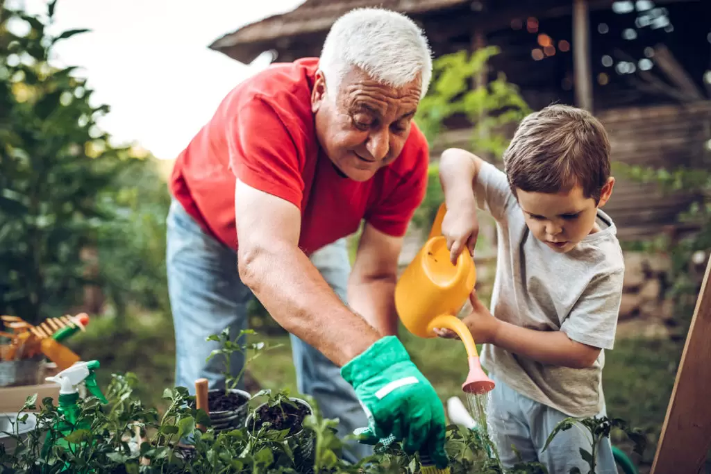 Fun things to do with granchildren in Somerset