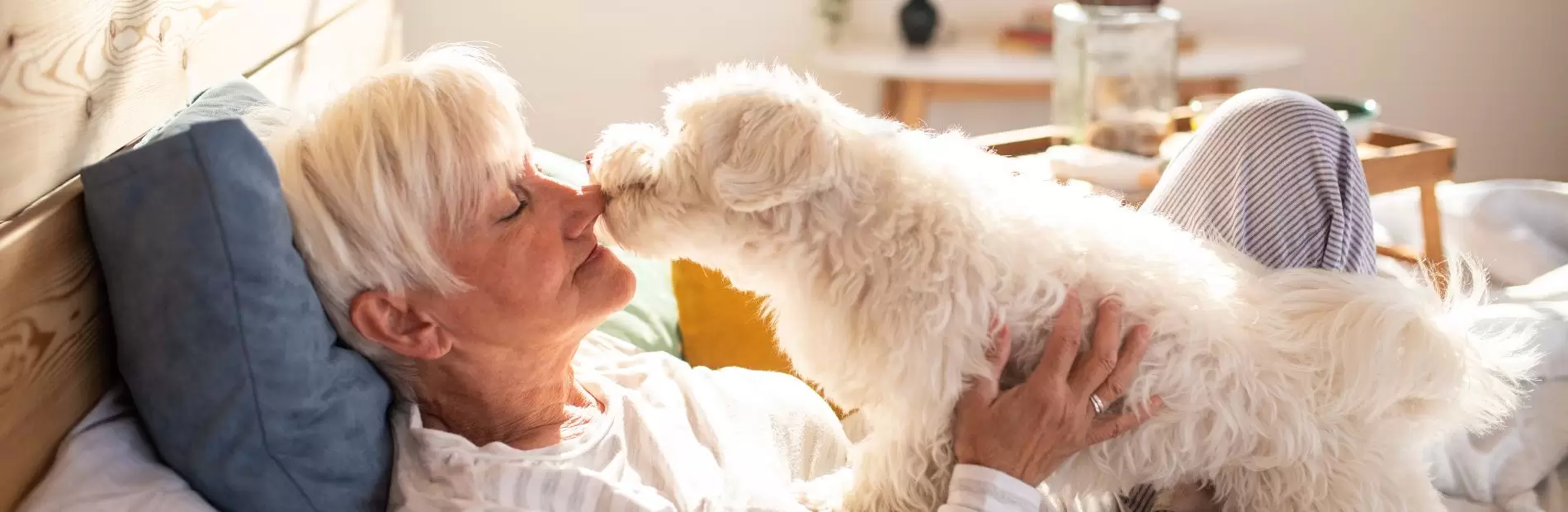Top Tips for Moving with Pets