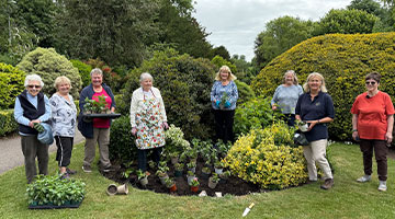 Sherborne in Bloom: A Colourful Community Effort 