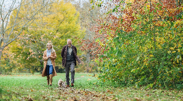 Best walks & dog walks in Poole, Dorset