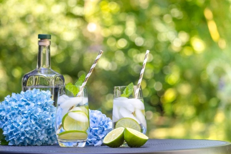 Two glasses of gin and tonic outside on a table