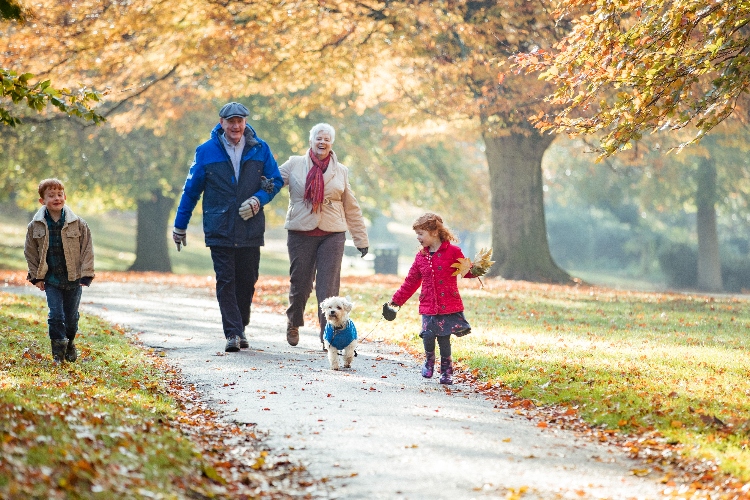Things to do with grandchildren in Taunton