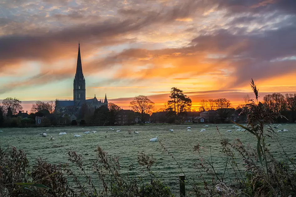 Heaps of History in Salisbury – New Chapters