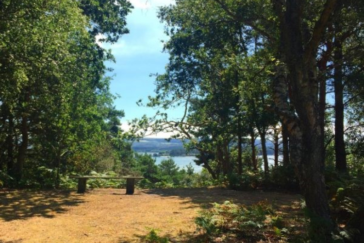 Brownsea Island