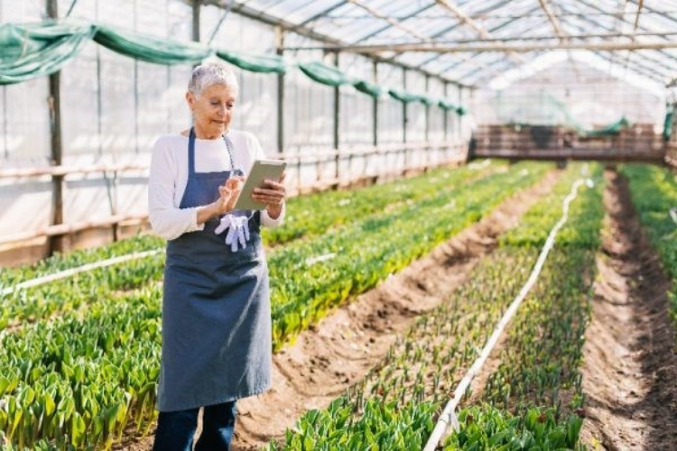 Senior women using an iPad in a greenhouse