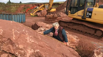 Somerset stone sculpture planned for luxury over-55s independent living community in Taunton